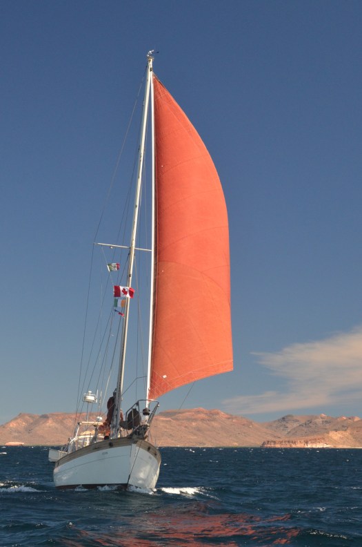 Wahkuna under sail