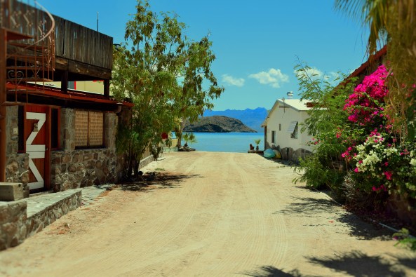 Gringo community Bahia Concepcion
