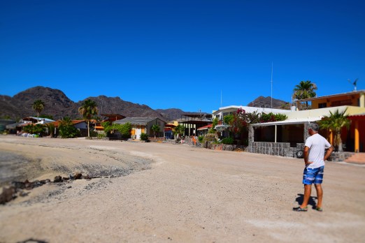 Gringo's Community Bahia Concepcion 1