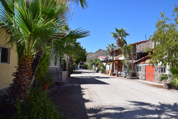 Gringo's community Bahia Concepcion
