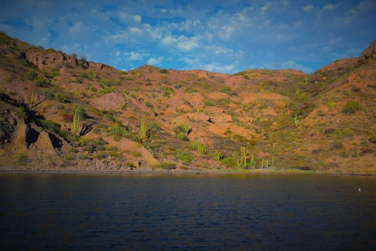 Honeymoon Cove anchorage
