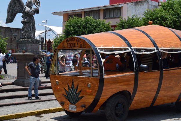 Tour guide in Tequila