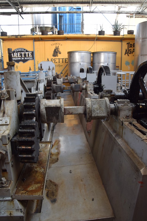 Machine to press the coocked Aguave