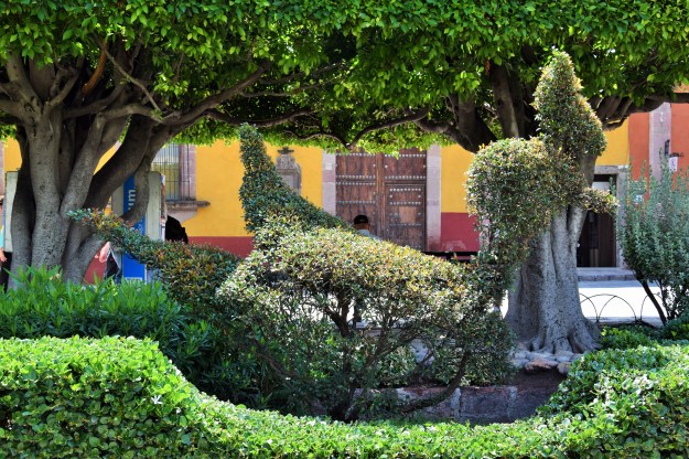 Garden from San Miguel de Allende