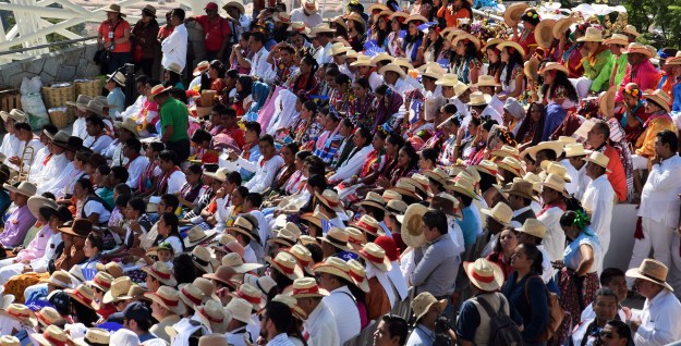 The crown of the Guelaguetzal