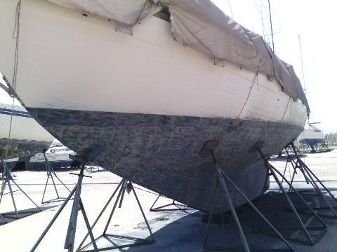 More antifouling 2