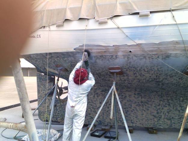 Pepe at work on the antifouling