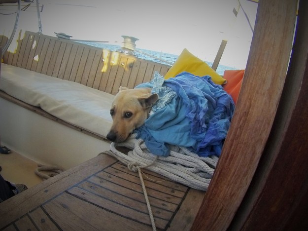 Hacia frio el primer dia