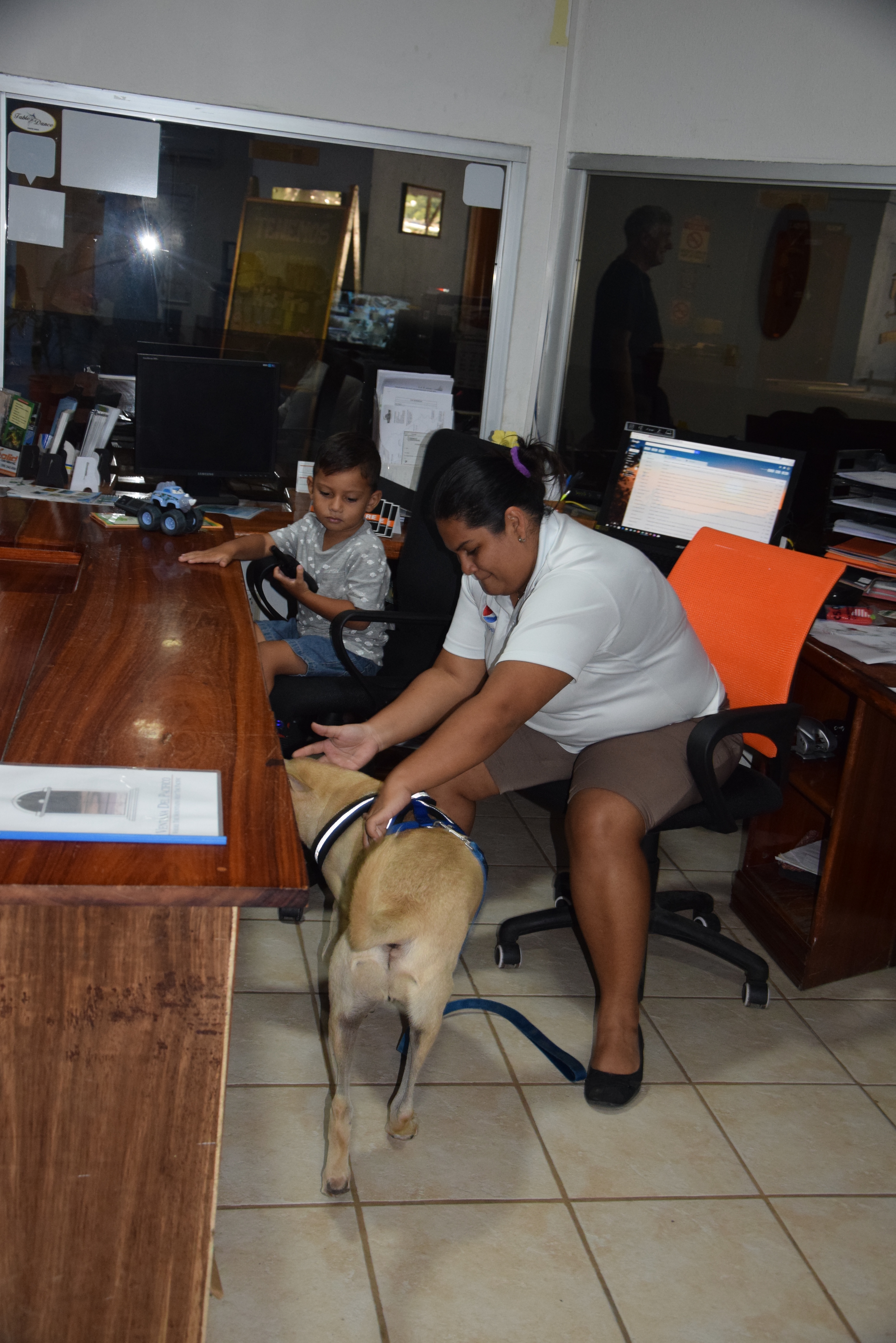 Je viens verifier le travail dans le bureau.