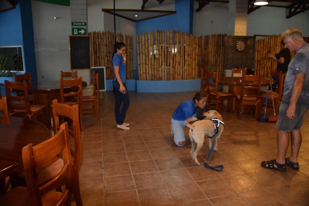 Lady, Adriana, Papa et moi