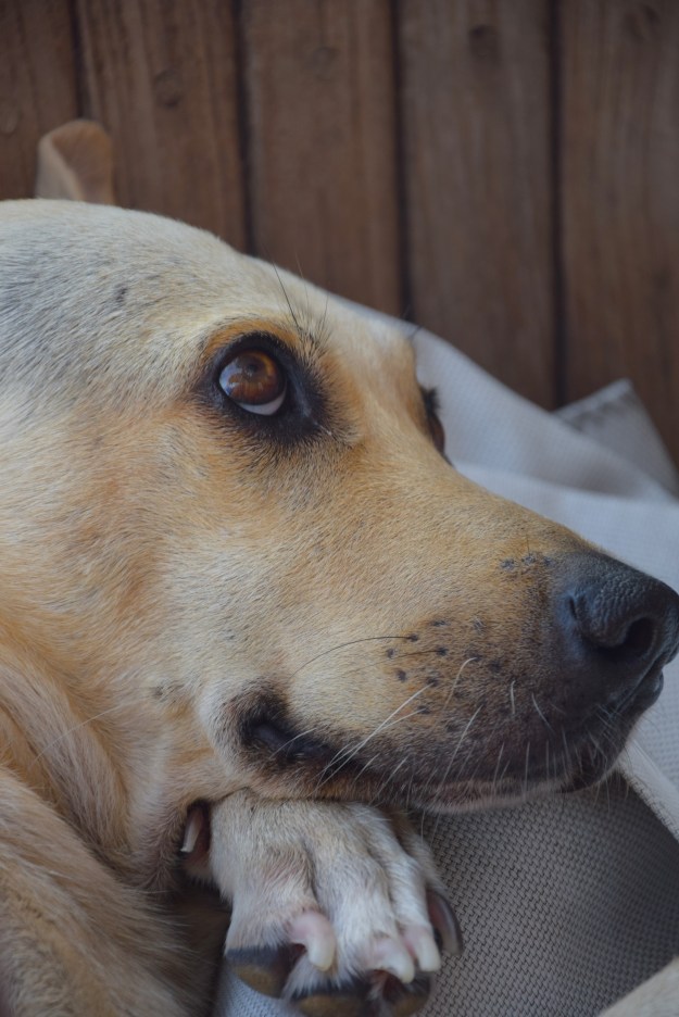 Wondering what new treasures I will find.