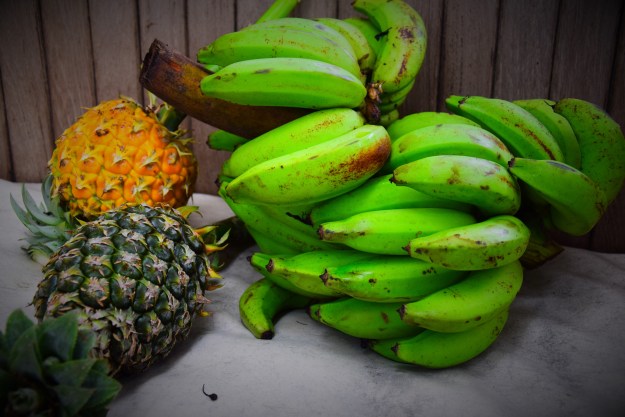 Some of the fruits that we got from Domingo.