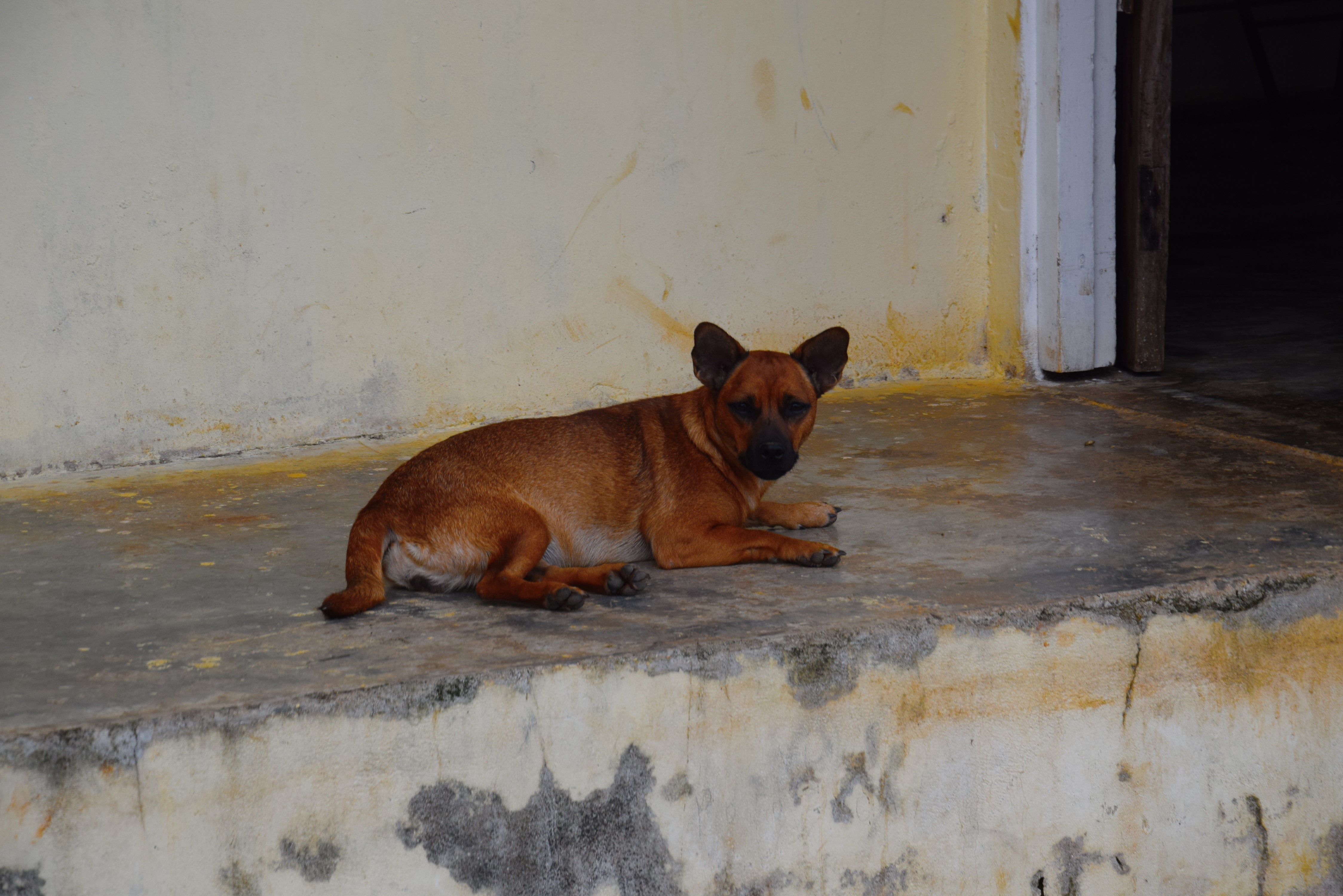 One of the friends from Bahia Honda