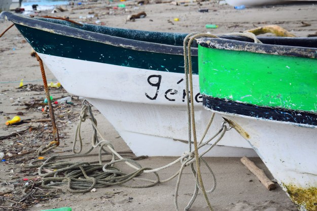 Pangas from Pedro Gonzales