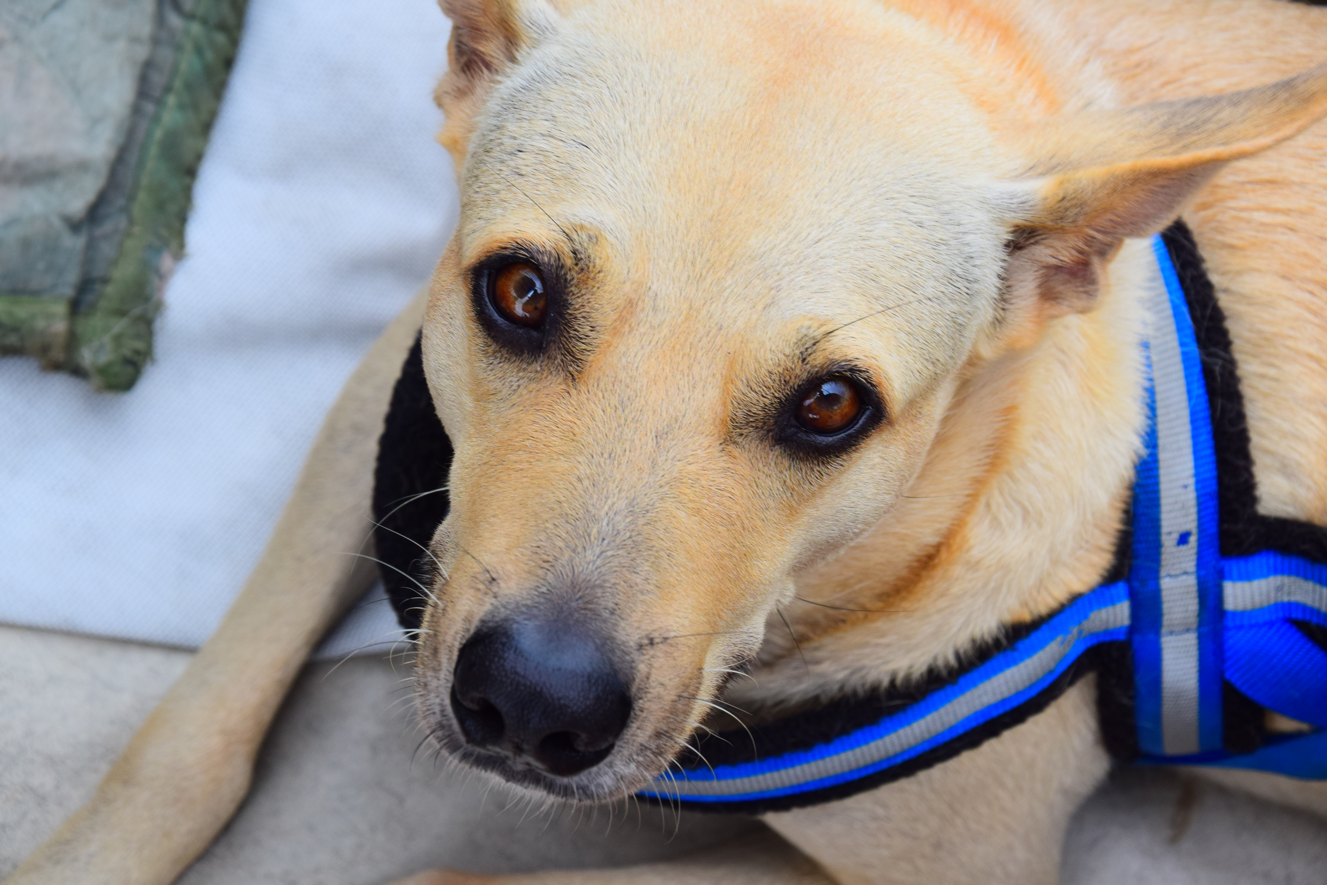 Looking like an angel!