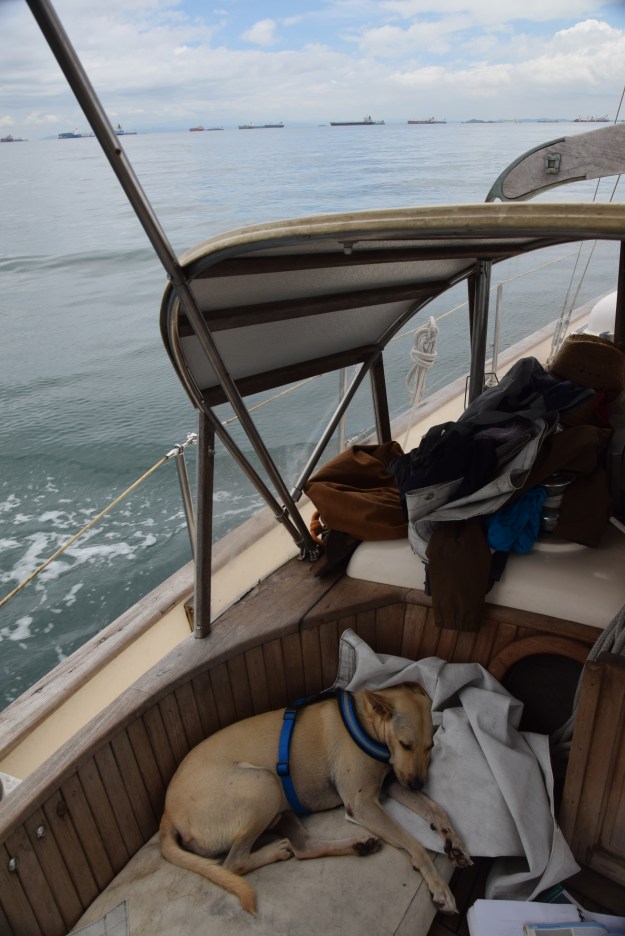 All this navigation exhausts me!