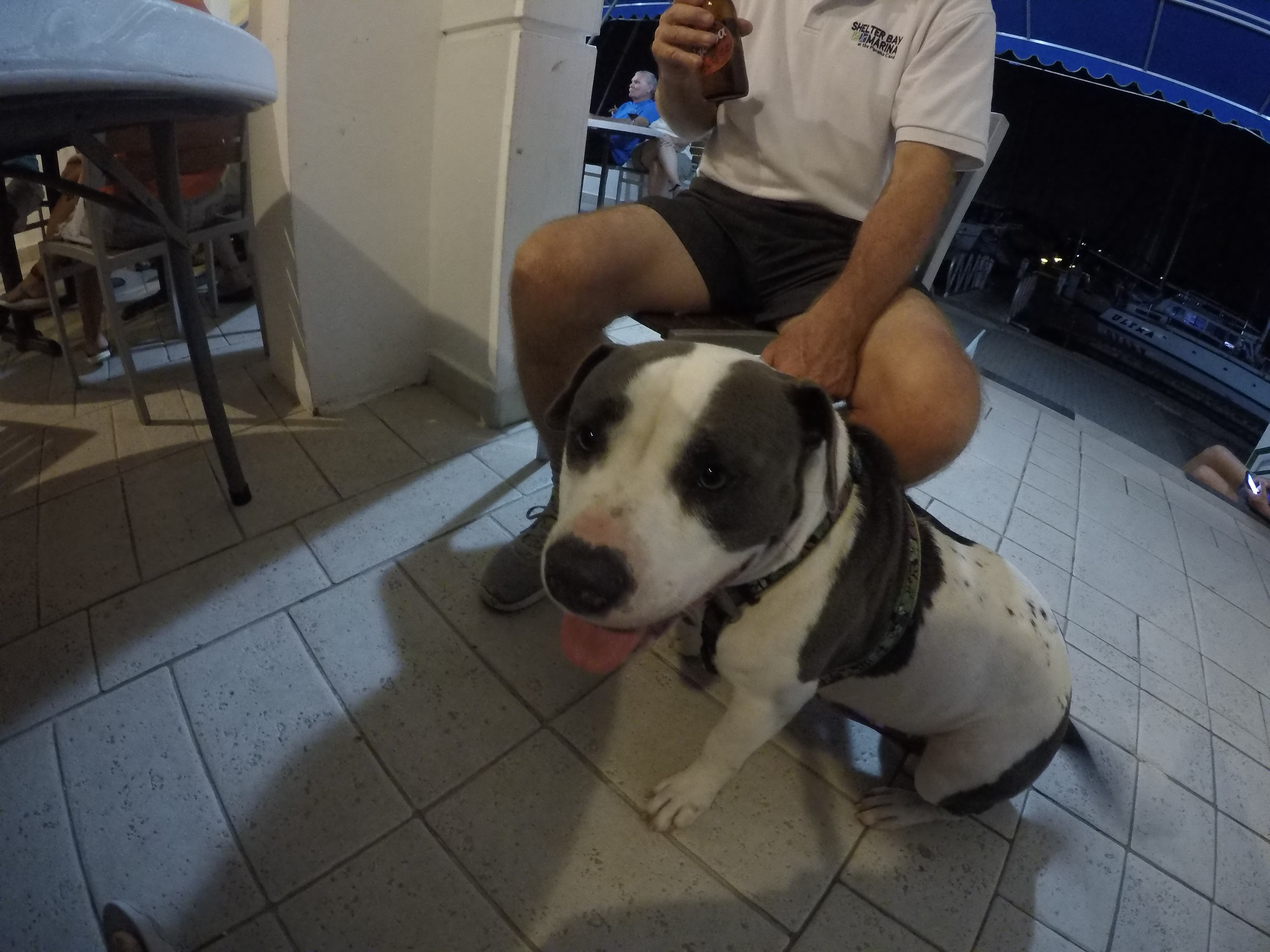 Africa; my other girlfriend.