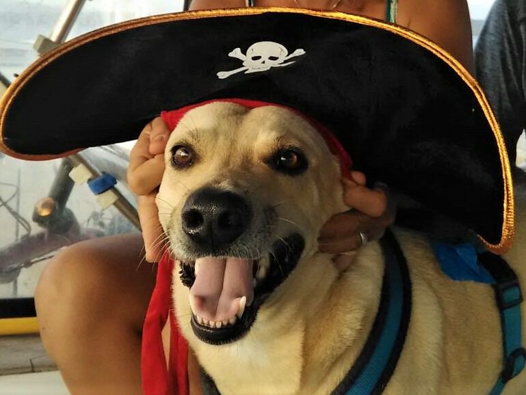 Pirata (2)