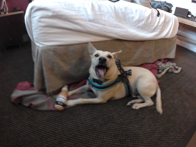 Chilling in the Ramada hotel in Miami, Florida