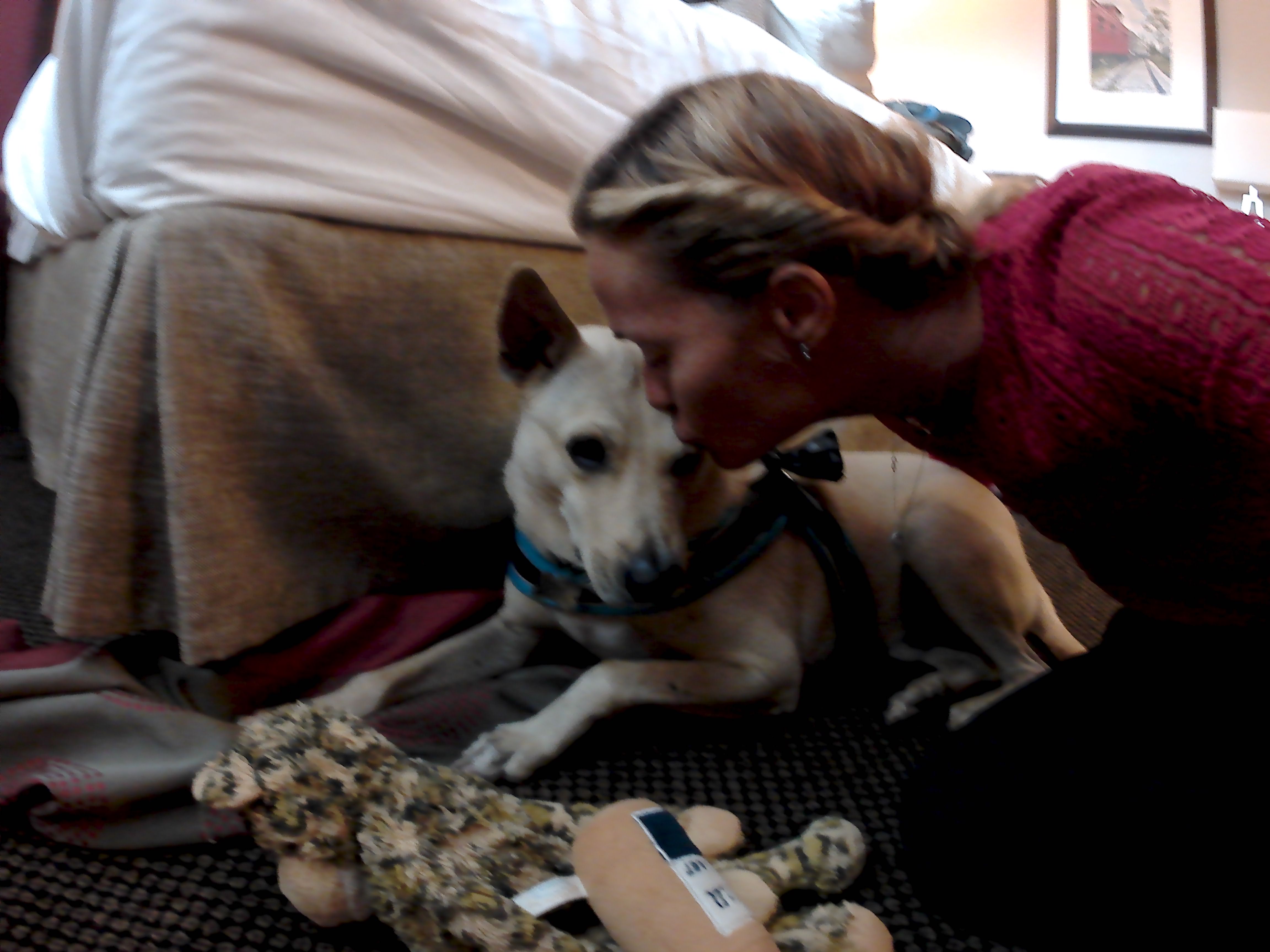 This photo is taken by AllWinner's v3-sdv