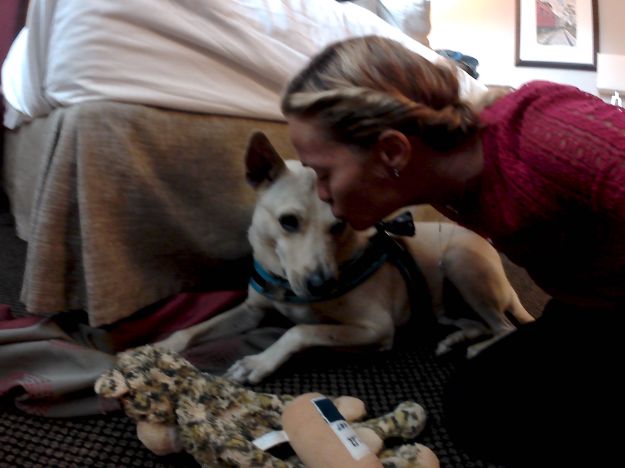 This photo is taken by AllWinner's v3-sdv