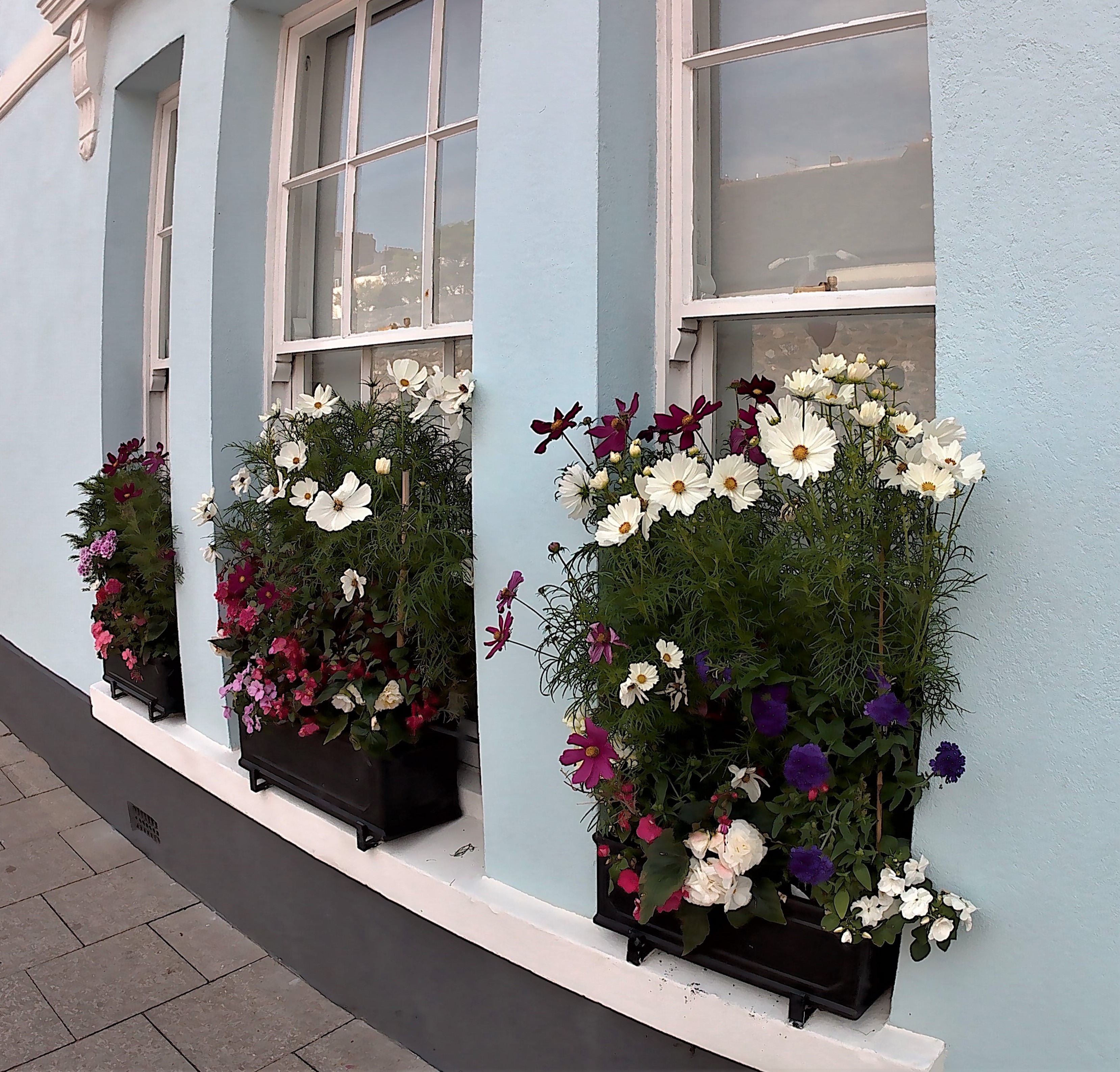 This photo is taken by AllWinner's v3-sdv