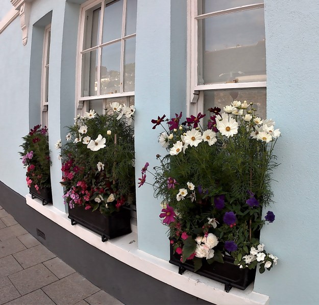 This photo is taken by AllWinner's v3-sdv